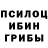 Псилоцибиновые грибы Magic Shrooms Donald Endsley