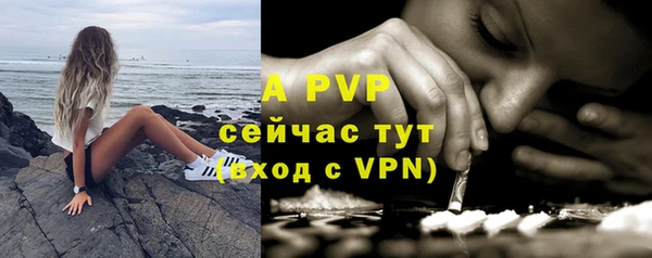 дмт Аркадак